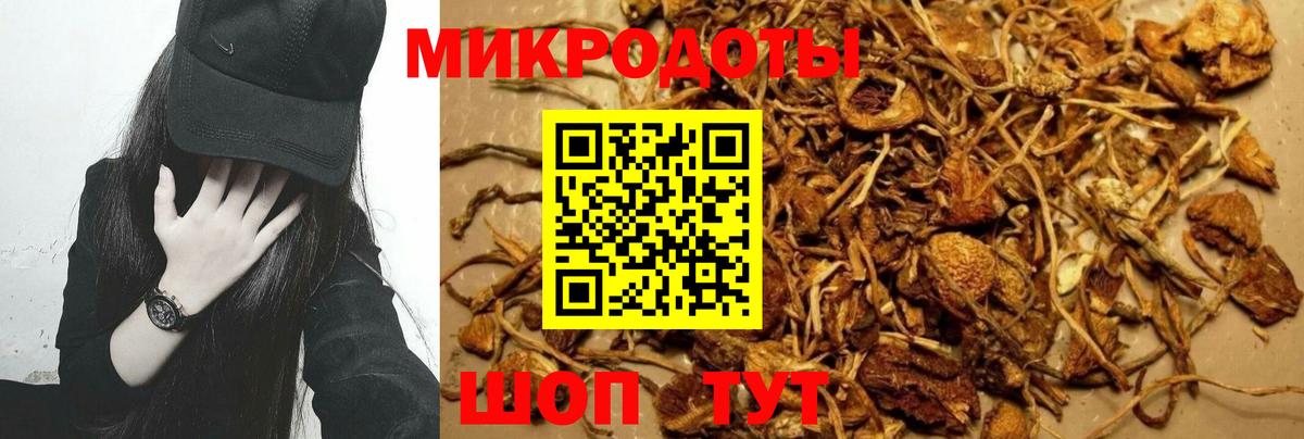 Заводоуковск  Псилоцибиновые грибы Psilocybine cubensis  Вход с VPN  Галлюциногенные грибы GOLDEN TEACHER 